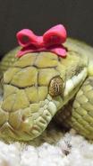 Образ персонажа Подколодная